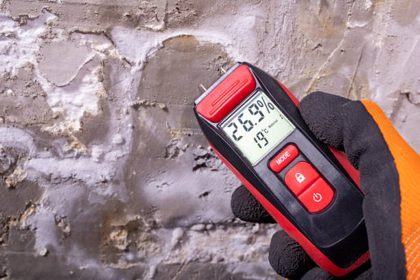 Best Crawl Space Mold Removal  in Boalsburg, PA